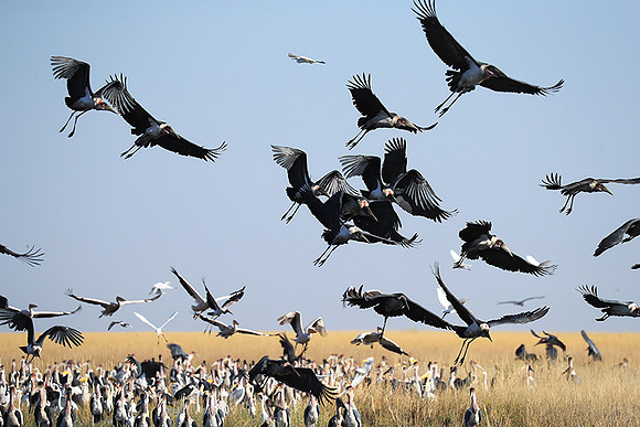 Liuwa Plain NP