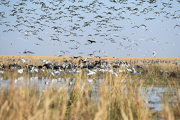 Liuwa Plain NP