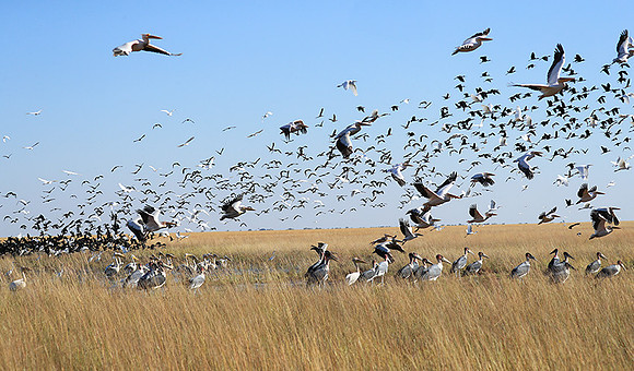 Liuwa Plain NP