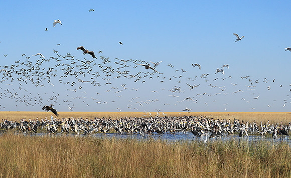 Liuwa Plain NP