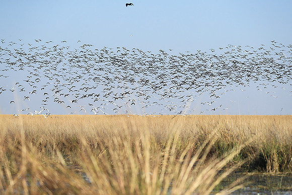 Liuwa Plain NP