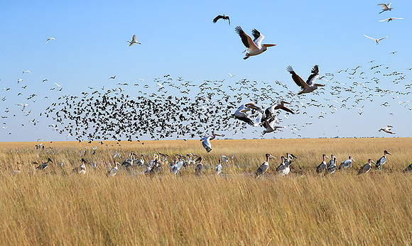 Liuwa Plain NP