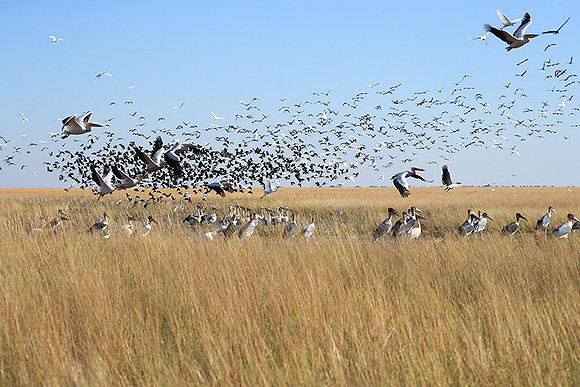 Liuwa Plain NP