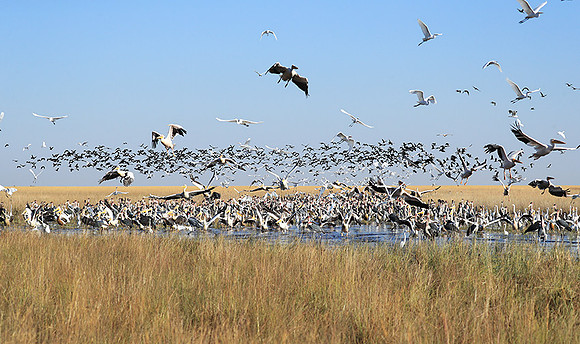Liuwa Plain NP