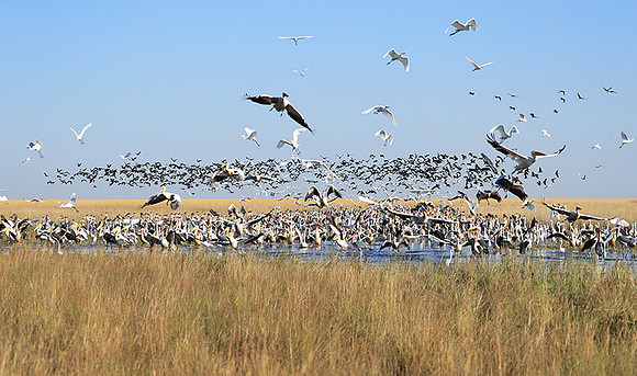 Liuwa Plain NP