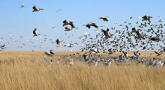 Liuwa Plain NP