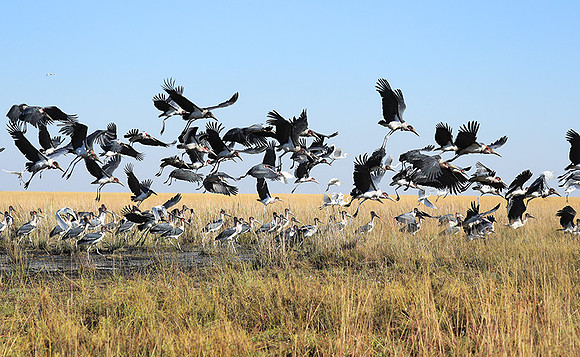 Liuwa Plain NP