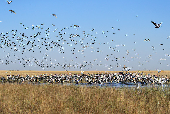 Liuwa Plain NP