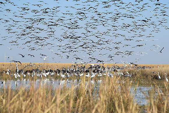 Liuwa Plain NP