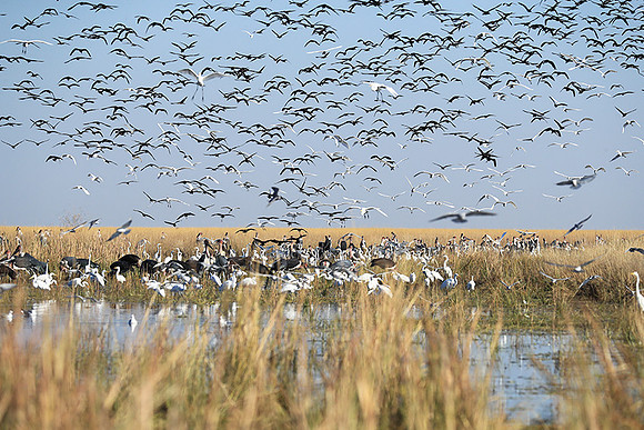 Liuwa Plain NP