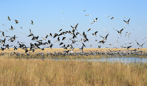 Liuwa Plain NP