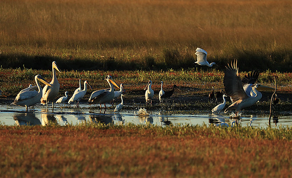 Liuwa Plain NP