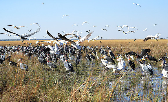 Liuwa Plain NP