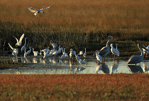 Liuwa Plain NP