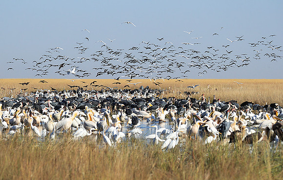Liuwa Plain NP