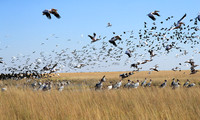 Liuwa Plain NP