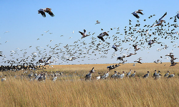 Liuwa Plain NP