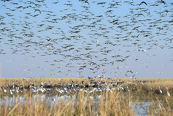 Liuwa Plain NP