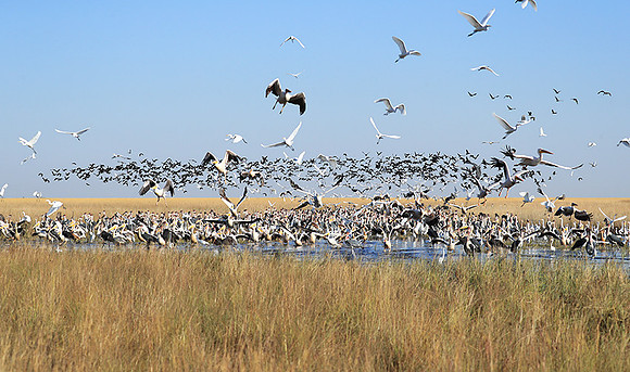 Liuwa Plain NP