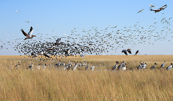 Liuwa Plain NP