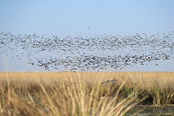 Liuwa Plain NP