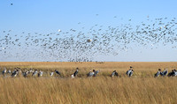 Liuwa Plain NP