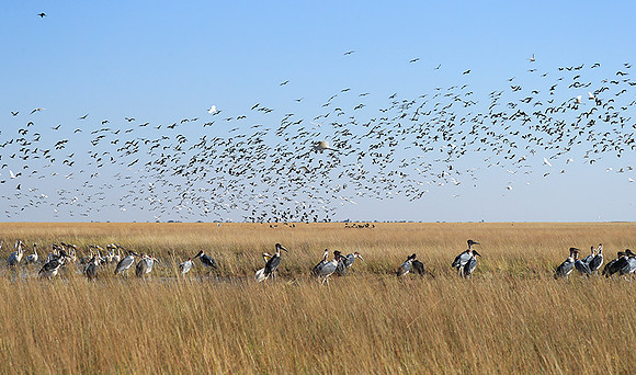 Liuwa Plain NP