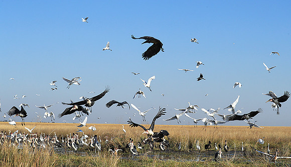 Liuwa Plain NP