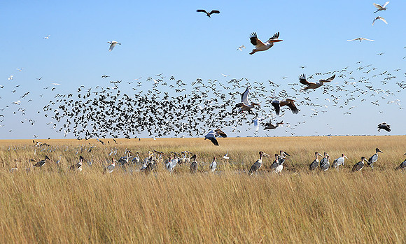 Liuwa Plain NP