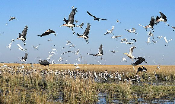 Liuwa Plain NP