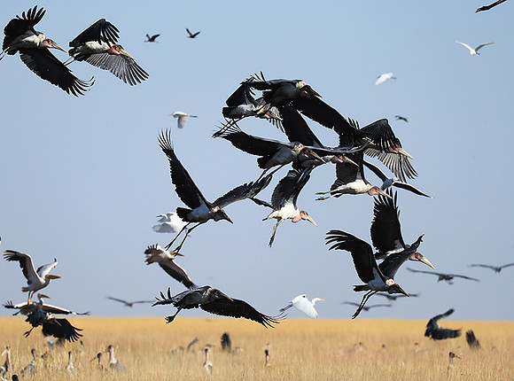 Liuwa Plain NP