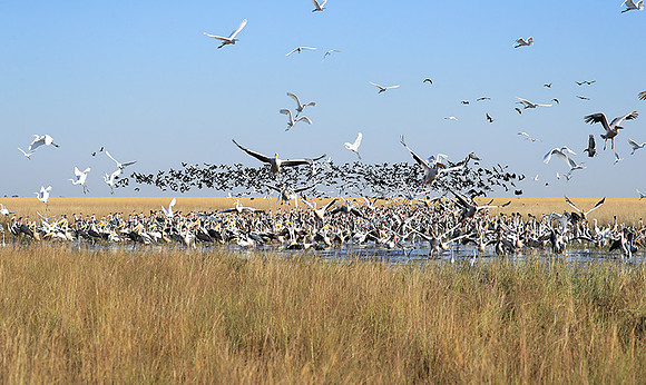 Liuwa Plain NP