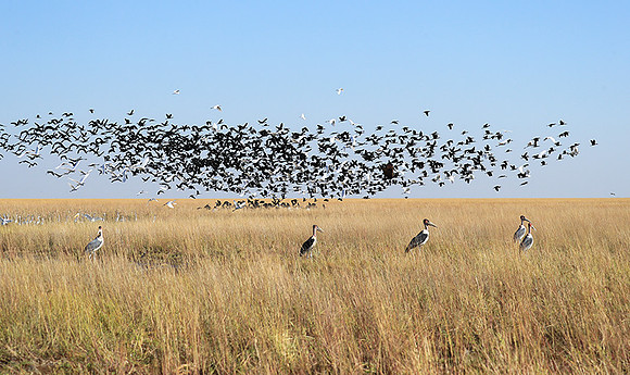 Liuwa Plain NP