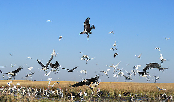 Liuwa Plain NP