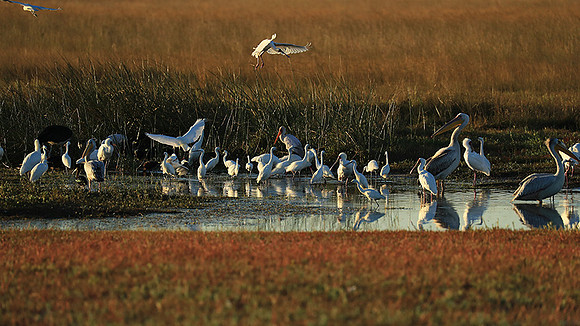 Liuwa Plain NP