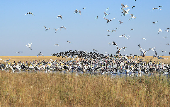 Liuwa Plain NP