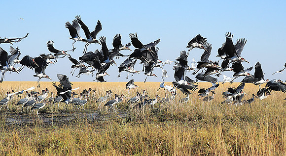 Liuwa Plain NP