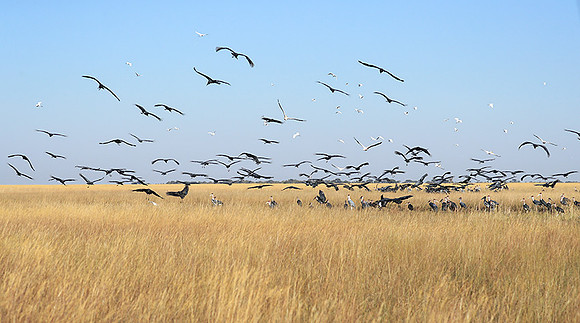Liuwa Plain NP