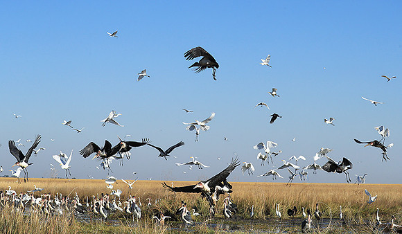 Liuwa Plain NP