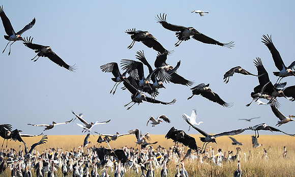 Liuwa Plain NP