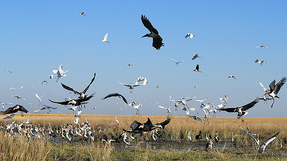 Liuwa Plain NP