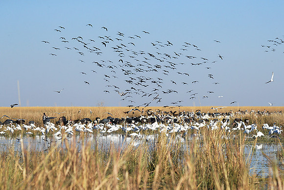 Liuwa Plain NP