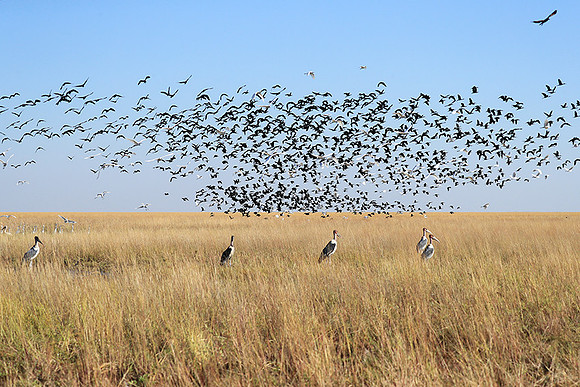 Liuwa Plain NP