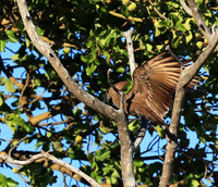 Kafue National Park