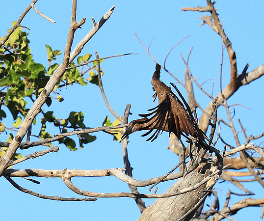 Kafue National Park