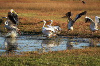 Liuwa Plain National Park