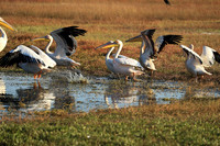 Liuwa Plain National Park