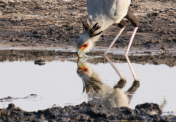 Hwange National Park