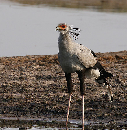 Hwange National Park