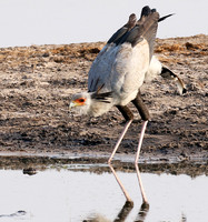 Hwange National Park